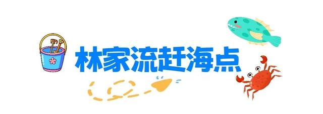 宝藏小城（荣成）漫游记 |想赶海！来荣成！