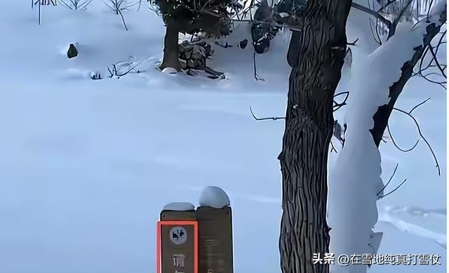 可可托海雪豹咬人后续！“活该”？三次警告当耳旁风	，被咬不冤