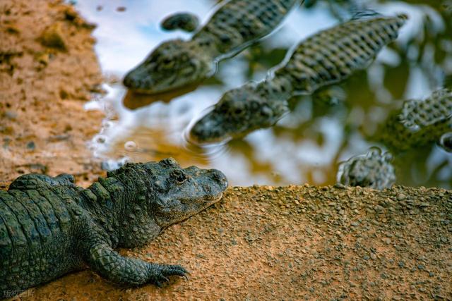 山东安徽的小透明城市？错！它们藏着太多反常识惊喜
