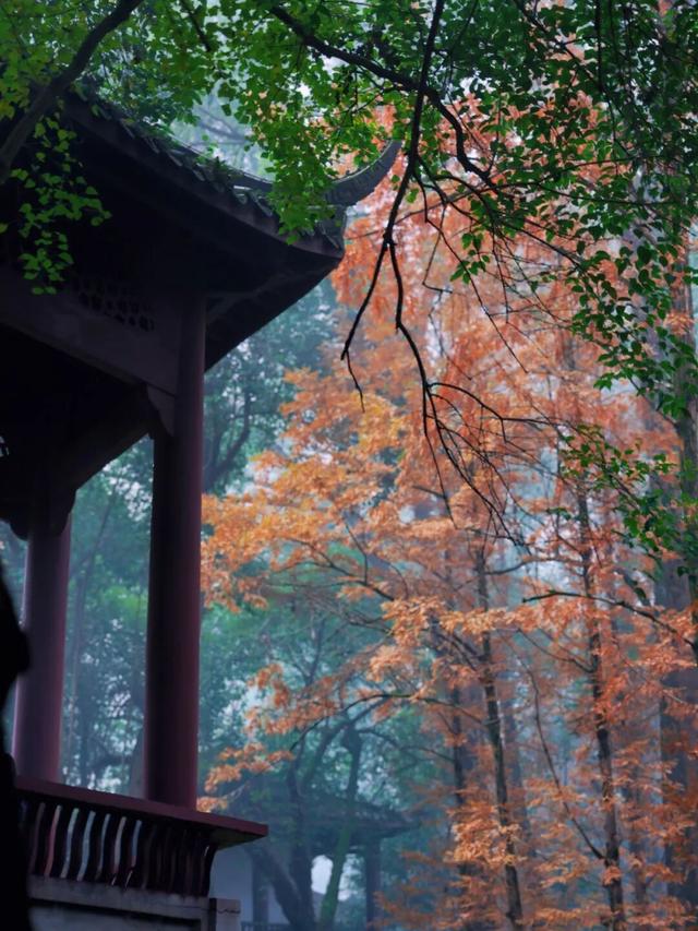 去观音寺，走走？