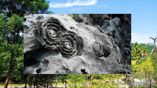 七十响礼炮震彻都安，千层岭间漫卷乡愁：七秩辉煌，你我共见