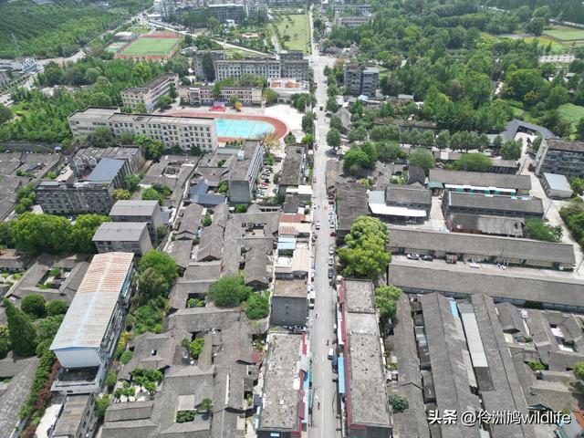 成都古镇（15）郫县唐昌古镇崇宁公园·大椿巷