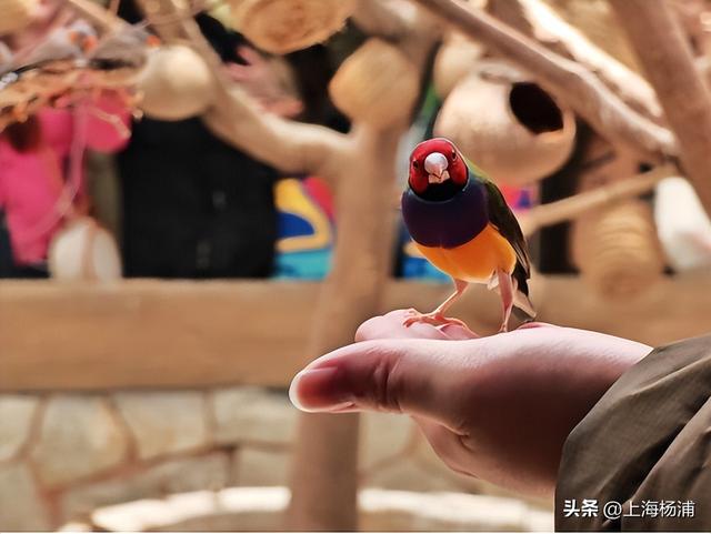 快来杨浦打卡！这条游玩线路有料又出片→