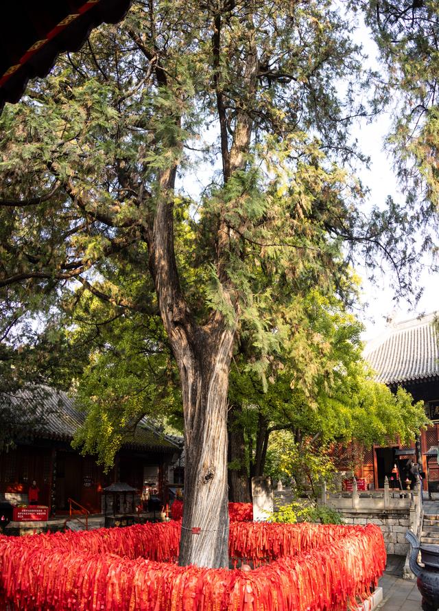 京郊游之红螺寺