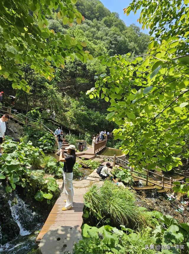 请河南的朋友猜一猜这是哪里的4A级景区，避暑胜地，森林密布