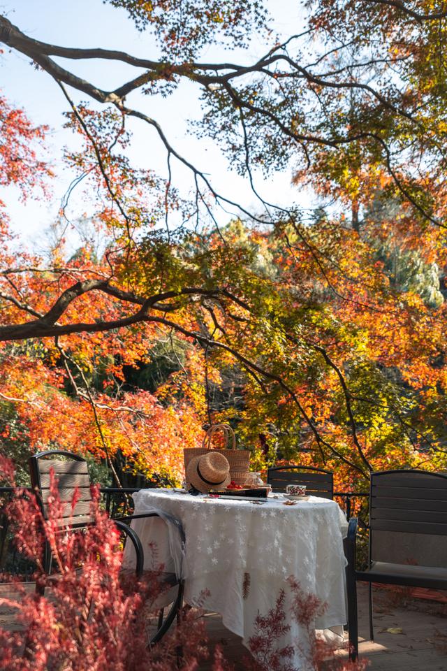 在红枫季，品味莫干山的绝代“枫”华