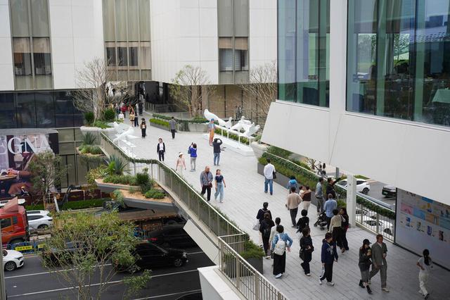 深圳湾“空中魔法走廊”引发广泛关注！2公里长廊开启逛吃游赏新体验