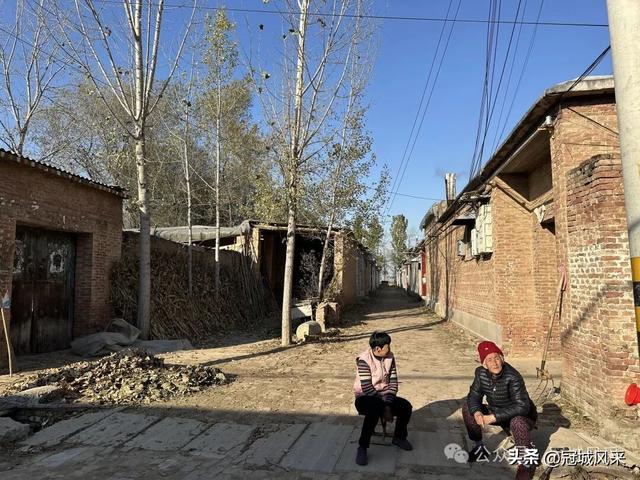 冠县乡韵·贾镇岑庄