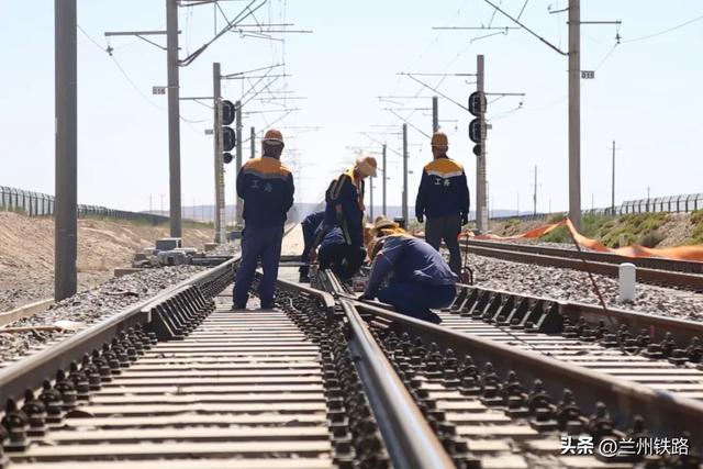 #“我的铁路风景”故事汇#戈壁滩上的梭梭树