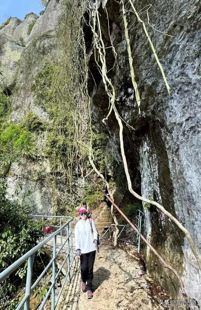 藏于浙江5A景区内有一处“十里铁甲龙”，洞穴众多形态奇特