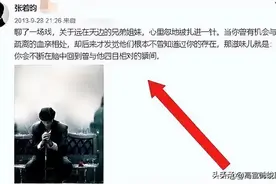 张健再婚刘蓓，父子情深或遭考验图片