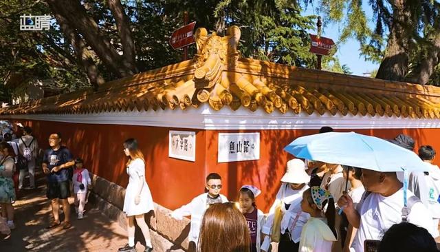 国庆中秋双节同乐，“青岛热”里的新亮点：滨海、文化、入境游！