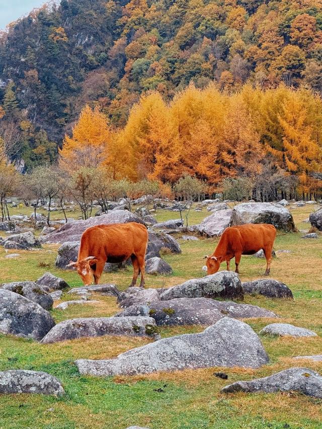 预算800+！适合11-12月穷游的“零差评”的6个城市，便宜又好玩！