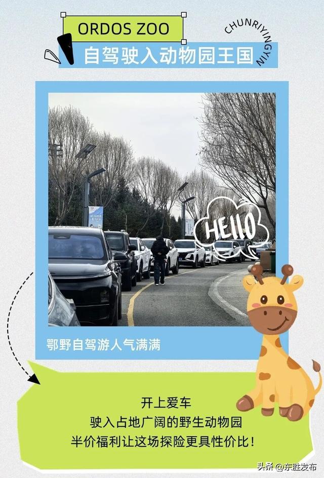 速来！半价特惠！