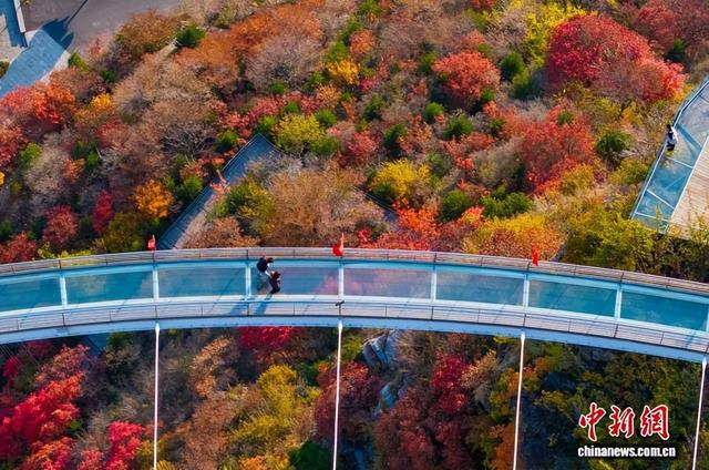 “悟空”陪游、云端赏叶 中国年轻人踏秋追求“情价比”