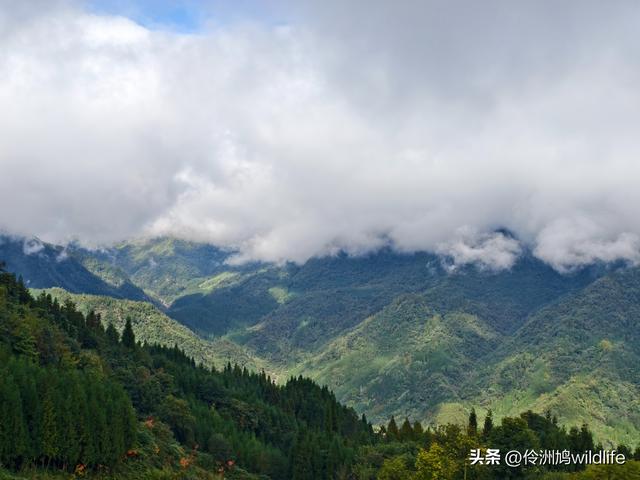 四川行(73)什邡红枫岭徒步到钟鼎寺