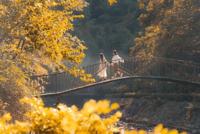 给你个准信！韶关森林红！红！红啦~