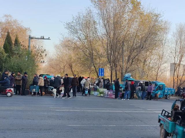 记录德州：岔河河堤上的大集，人山人海，异常热闹