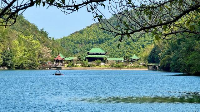 江苏宜兴竹海：周末度假的宝藏之地，开启一场竹林仙境之旅！