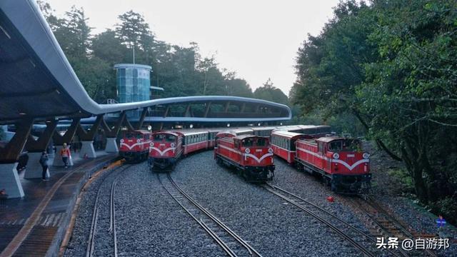 阿里山百年蒸汽桧木火车， 季节限定赏枫列车、票价信息一次看！