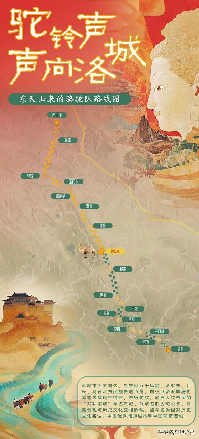 重走丝绸之路，这支“东天山来的骆驼队”到哪了？