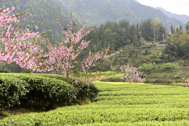 两性关系：60多岁的阿姨们坦言	，女人找老伴，最大的需求是这一点