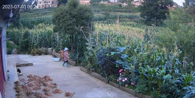 贵州49岁女子务农被害抛尸后续！凶手二审判死缓，家属申请再审