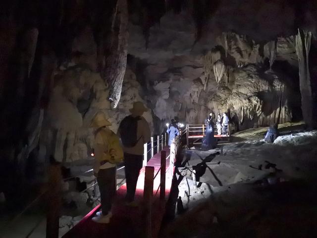 带小朋友去贵州茂兰，连环探洞加漏斗原始森林徒步二日游全攻略！