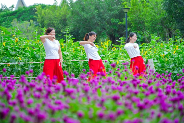 美爆了！佛山秋日花海上新！