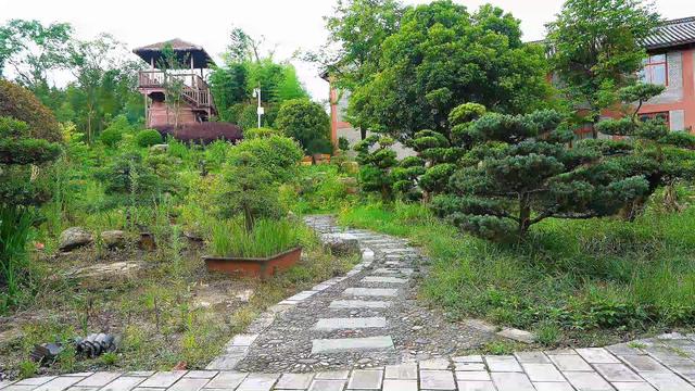 盘州市哒啦仙谷景区：清凉夏日，绿色植物园成为避暑游客热门打卡地
