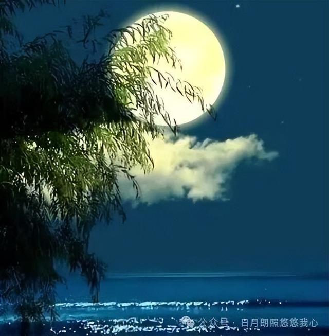 登山则情满于山，观海则意溢于海