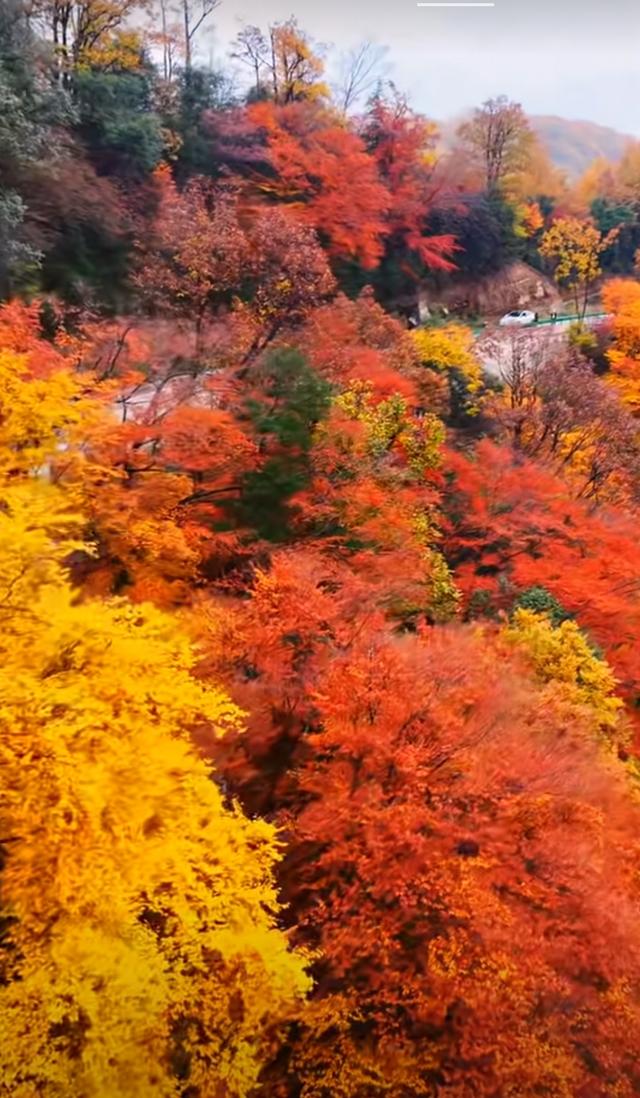 盐井峡的秋，是山野写给人间的信
