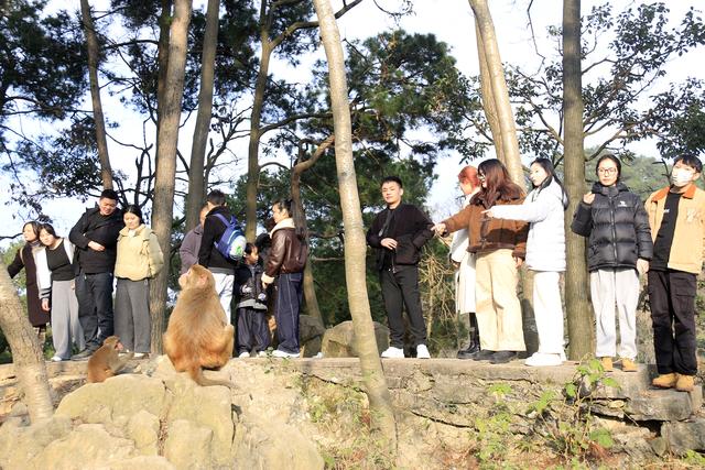 黔灵山的猴子真的会拧开瓶盖喝水