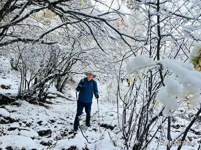 甲依拉措 :一场白雪与彩林的盛宴