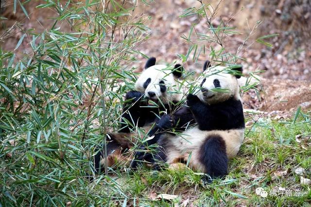 赏秋正当时!自驾来汉中,赴一场秋日视觉盛宴~