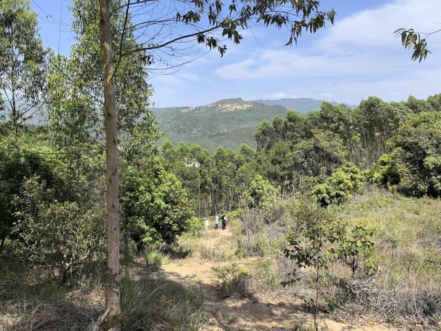 带小朋友去贵州茂兰,连环探洞加漏斗原始森林徒步二日游全攻略!