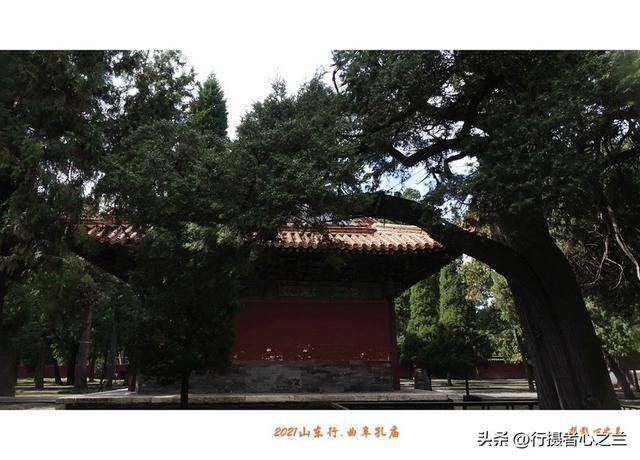 山东行游影记（210）—曲阜孔庙（五）