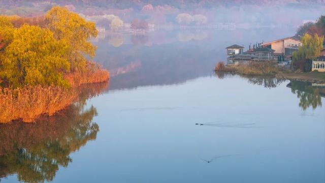 免费！无锡“巨无霸”公园火了