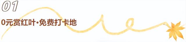 红了！临沂红了！0元赏秋，超全临沂看红叶攻略，快快收藏！
