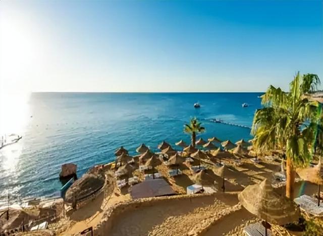 在埃及观察组的日日夜夜（五）