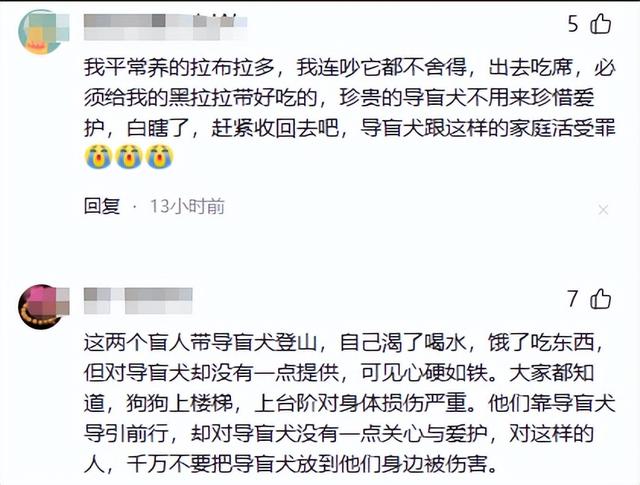 带导盲犬爬泰山的夫妻被网友批评，导盲犬芬迪看着非常累