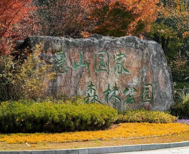 体荟四季｜秋日遛娃去哪？答案藏在这5座森林公园里