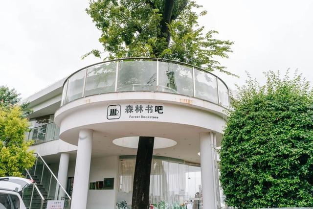 红河弥勒有个雨天好去处，高空森林氛围感超绝，还能解锁隐藏体验