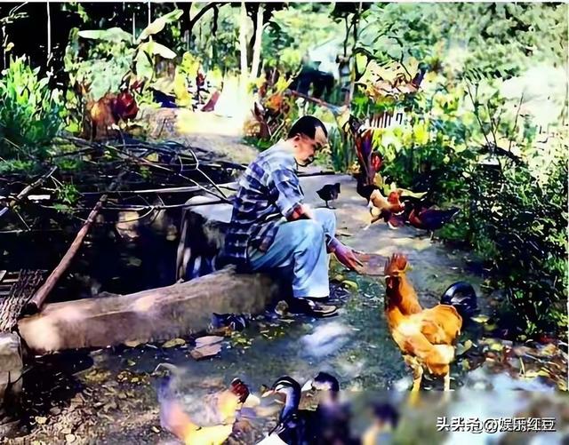 张学良和赵一荻被幽禁的真实彩色照，35岁赵一荻皮肤白皙风韵犹存