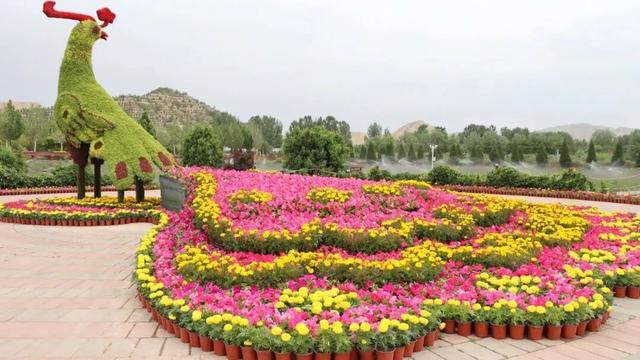 【白银文旅】白银区乡村“秋景图”：美得让你移不开眼