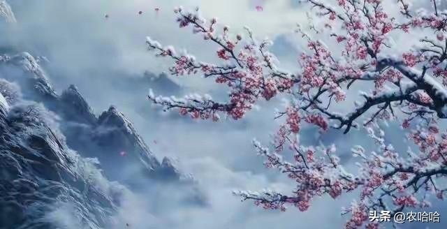 “立冬不过午，三九雪堵门”，明日立冬，今年冬天雪大吗？早了解