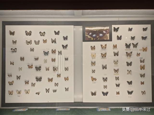 无为在歧路，国庆游淄博2