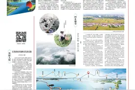 红魂绿意，大美六安！镇江日报看六安！图片