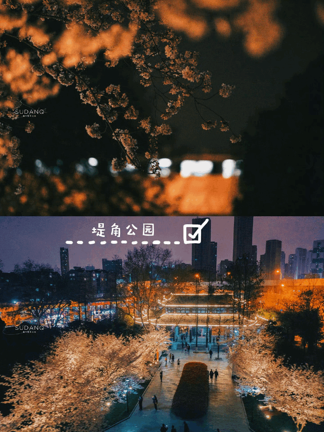 武汉赏樱攻略请收藏！除了武大和东湖，还有这些免费打卡地哦