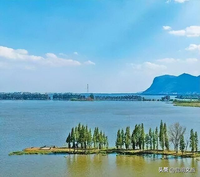 西山赏杏观鸥全攻略！40载人鸥情缘！3+8+N玩法承包冬日浪漫